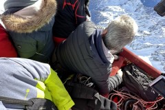 Jeder hat seinen Platz im Korb