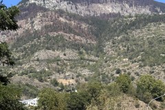 Die Spuren vom Waldbrand in Bitsch sind immer noch gut sichtbar